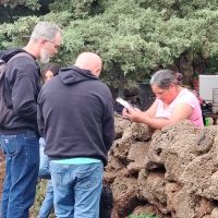 529601615_18526090201042513_6935380425467934880_n